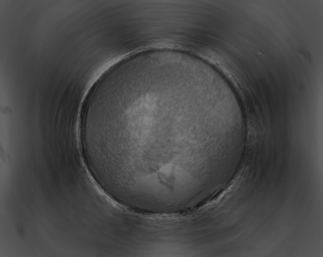 X0000090490902200708031144