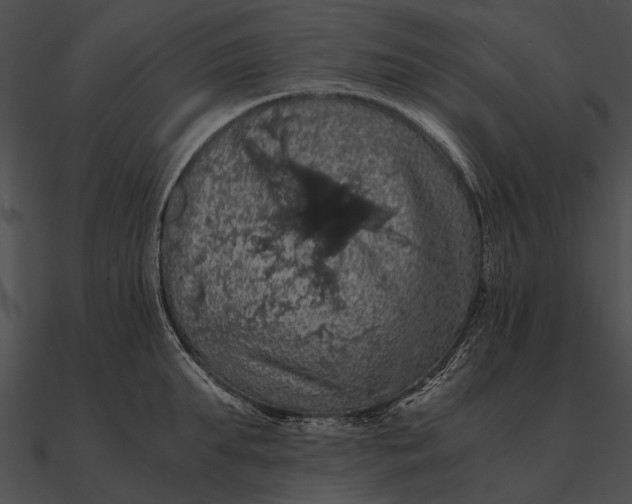 X0000090490903200708031144