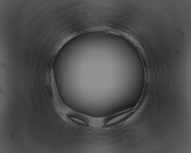 X0000090490905200708031144