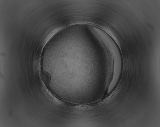 X0000090490906200708031144