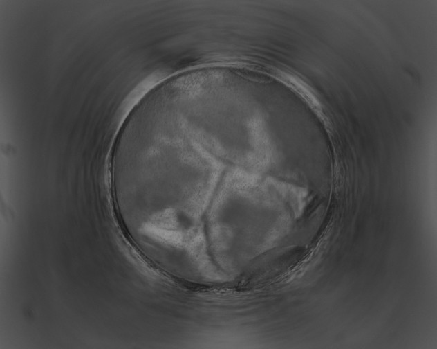 X0000090490907200708031144