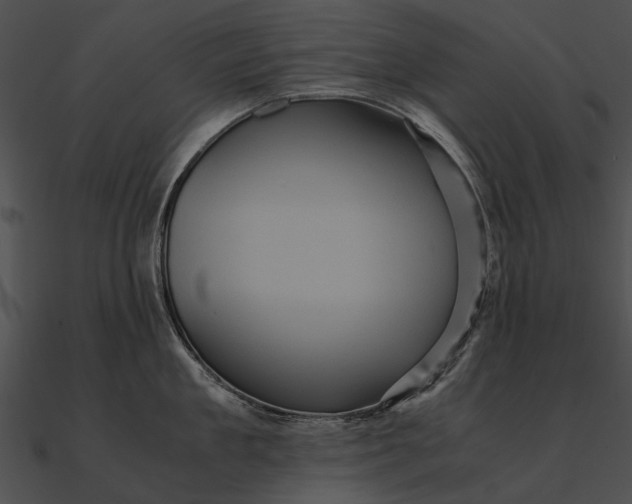 X0000090490909200708031144