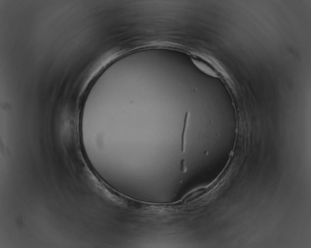 X0000090490910200708031144