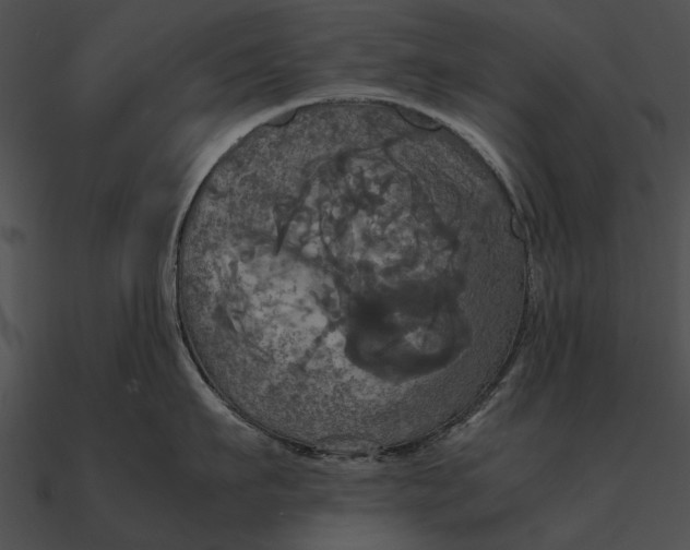 X0000090490911200708031144