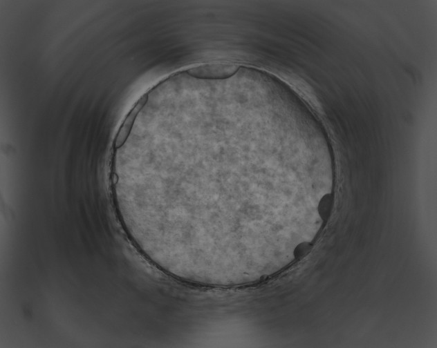 X0000090490912200708031144