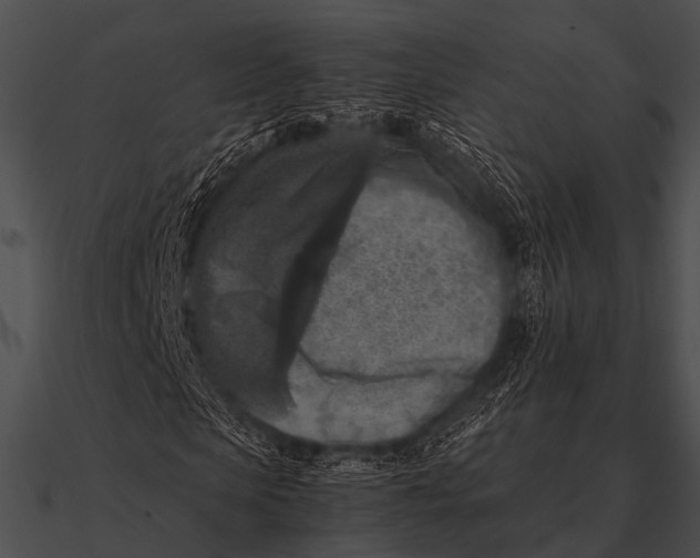 X0000090490913200708031143