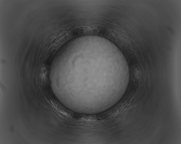 X0000090490914200708031143