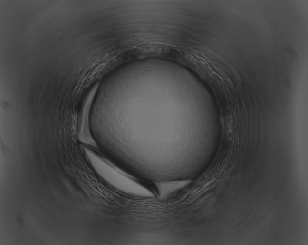 X0000090490916200708031143