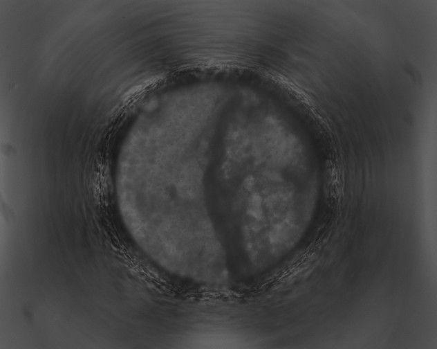 X0000090490918200708031143