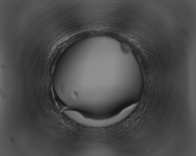 X0000090490920200708031143