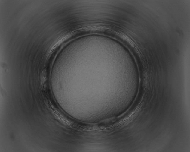 X0000090490922200708031143