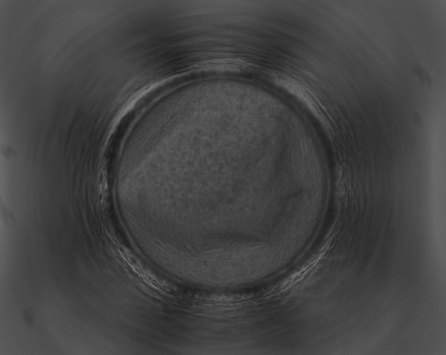 X0000090490923200708031143