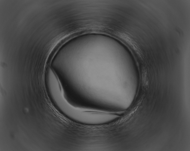 X0000090490924200708031143