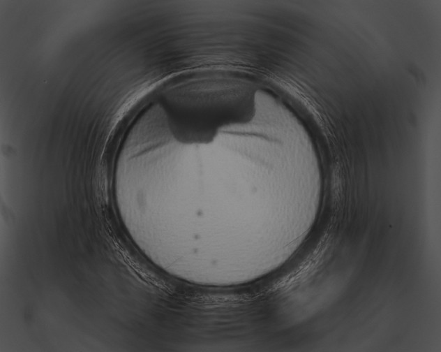 X0000090490925200708031143