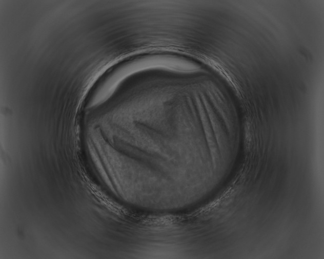 X0000090490926200708031143