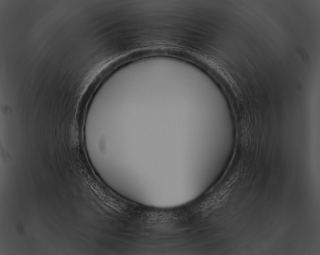 X0000090490927200708031143