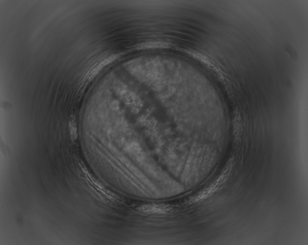 X0000090490929200708031143