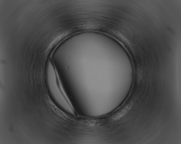 X0000090490930200708031143