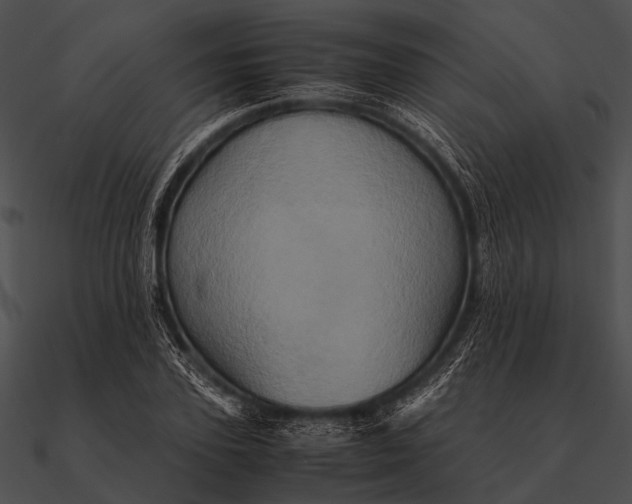 X0000090490931200708031143