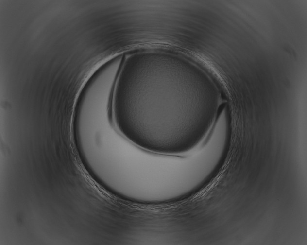 X0000090490932200708031143