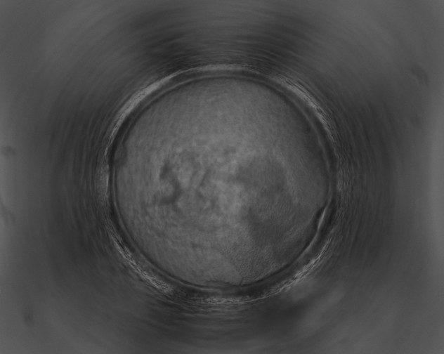 X0000090490933200708031143