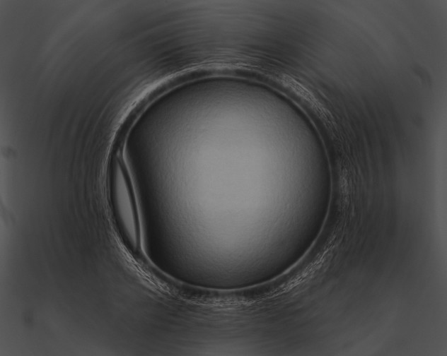 X0000090490934200708031143