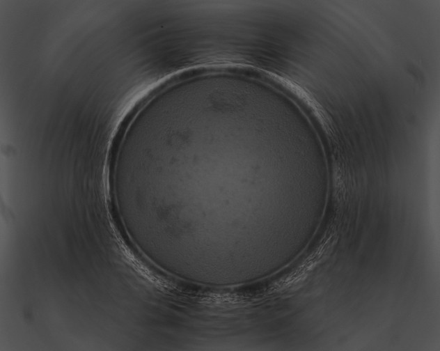 X0000090490935200708031143