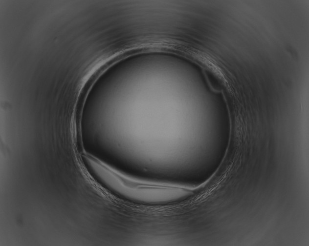 X0000090490936200708031143