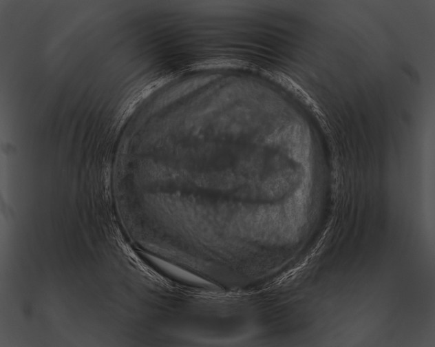 X0000090490937200708031143