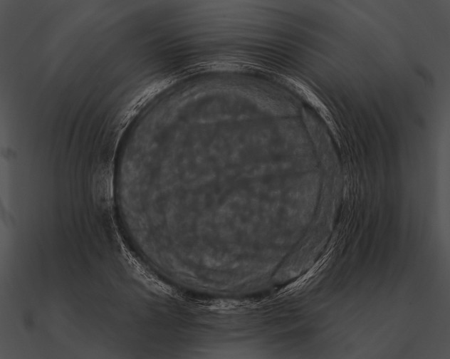 X0000090490938200708031144