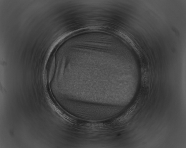 X0000090490939200708031144