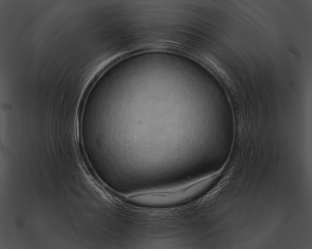 X0000090490940200708031144