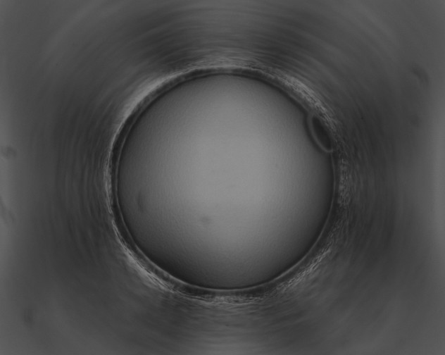 X0000090490942200708031144