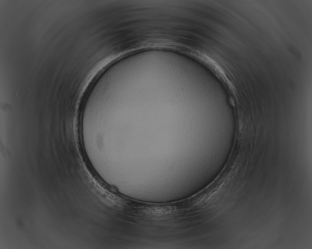 X0000090490947200708031144