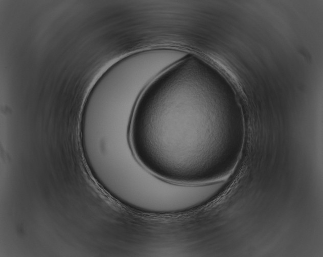 X0000090490948200708031144