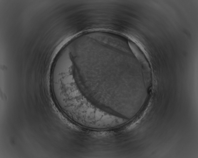 X0000090490949200708031144