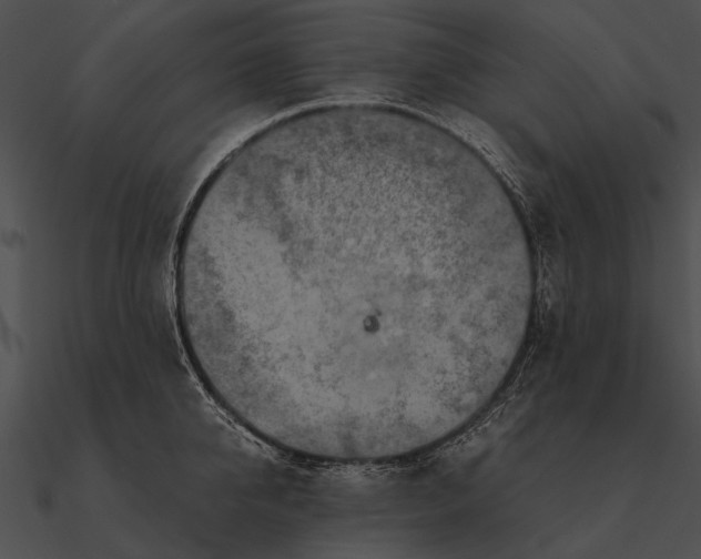 X0000090490950200708031144