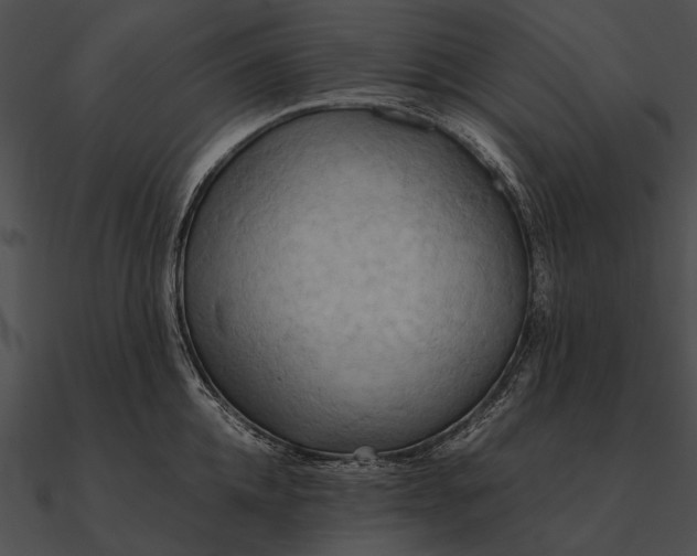 X0000090490952200708031144