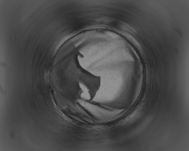 X0000090490953200708031144