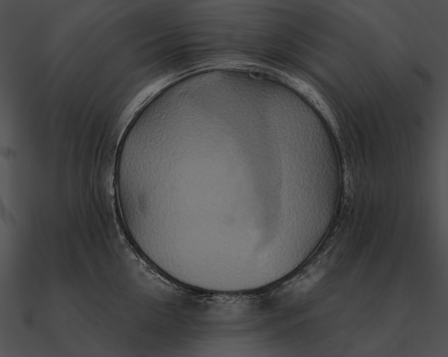 X0000090490954200708031144