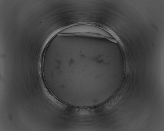 X0000090490955200708031144