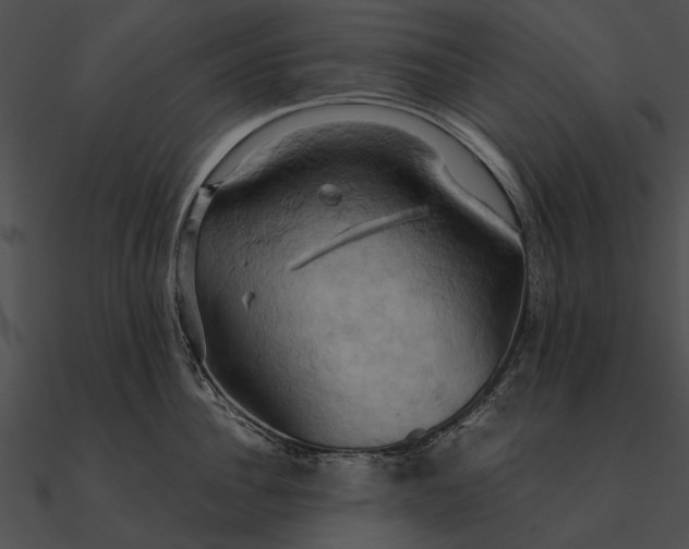 X0000090490956200708031144