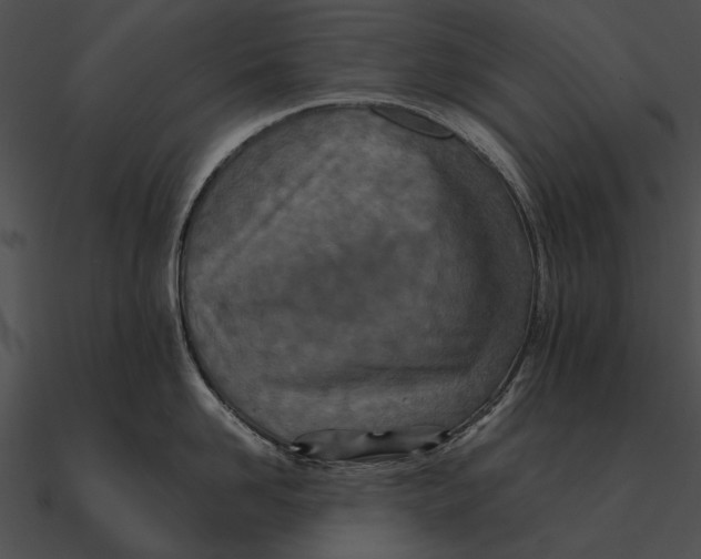 X0000090490958200708031144