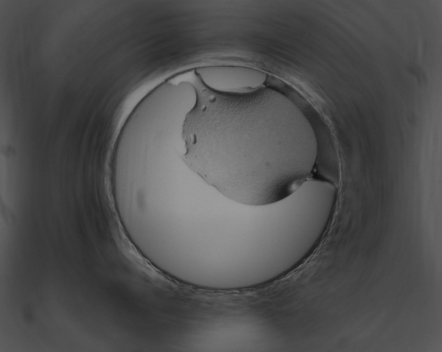 X0000090490960200708031144