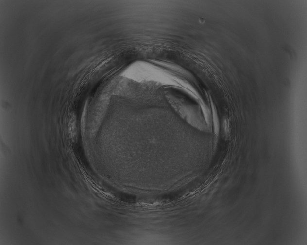 X0000090490963200708031143