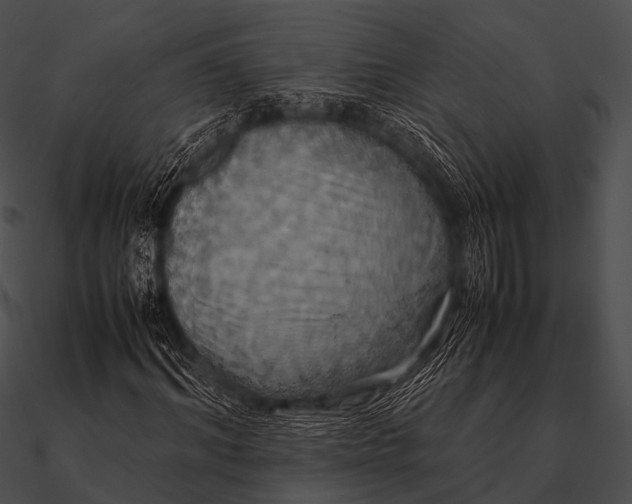 X0000090490964200708031143