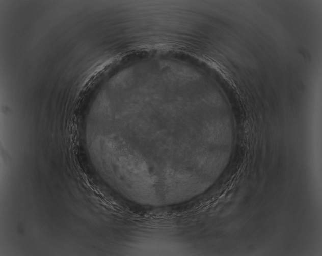 X0000090490967200708031143