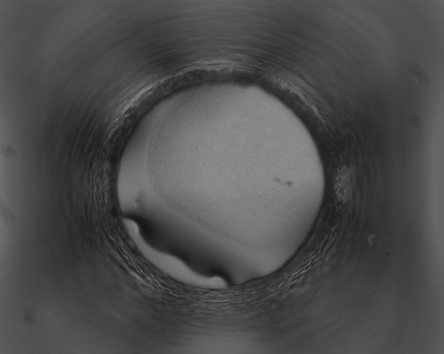 X0000090490968200708031143