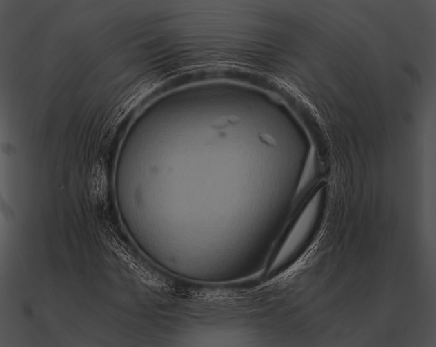 X0000090490969200708031143