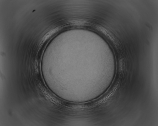 X0000090490970200708031143